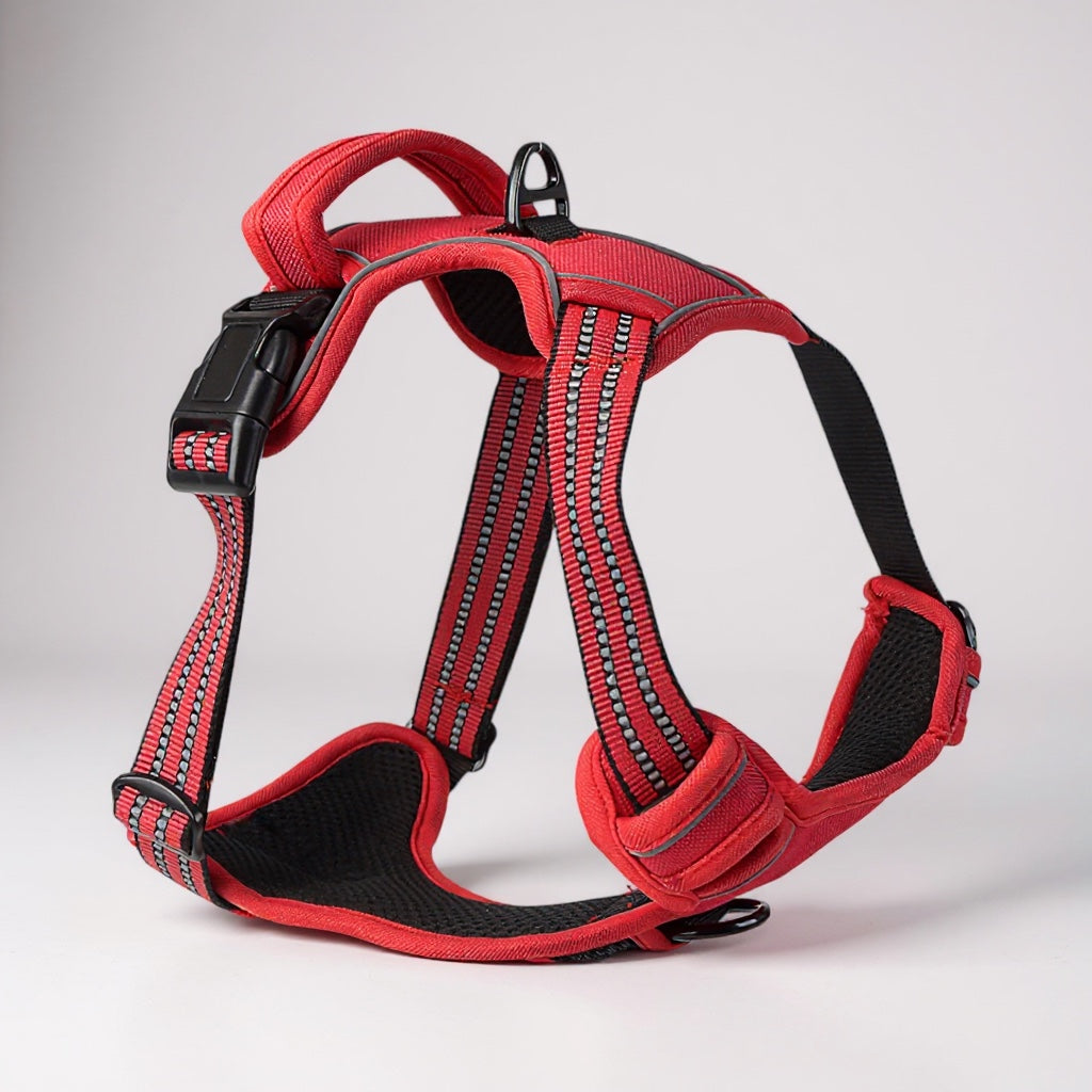 Harnais Chien Anti-Traction Respirant et Réfléchissant