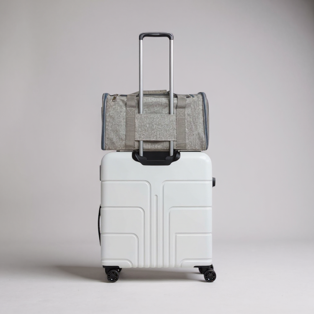 Sac de Transport pour Animaux - Pour Chats et  Petits Chiens