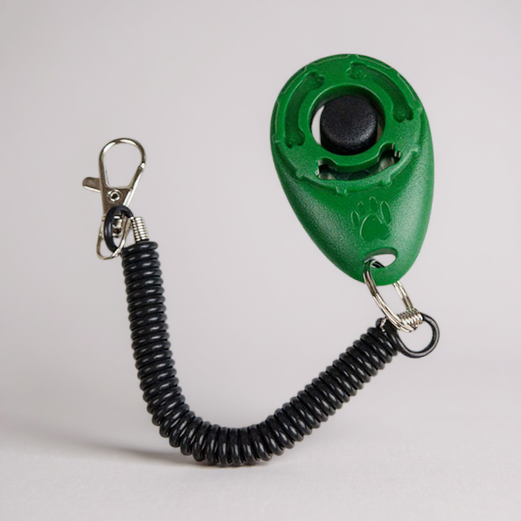 Clicker d’Entraînement Chien – Outil de Dressage Positif pour Animaux