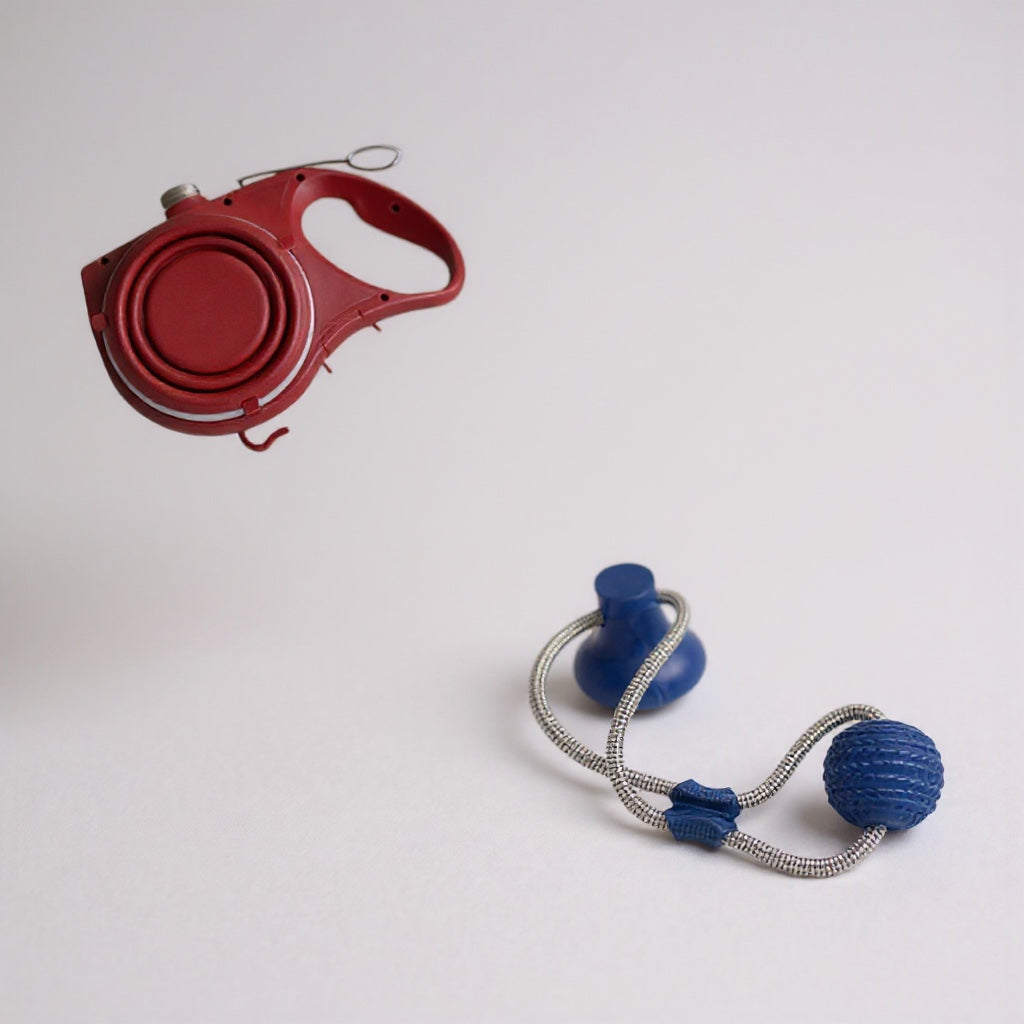 Laisse pour Chien avec Gourde et Coupelle